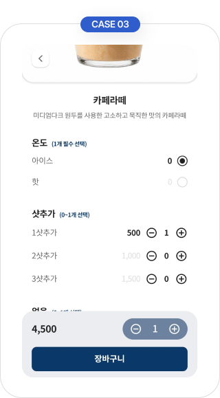 옵션 선택 화면